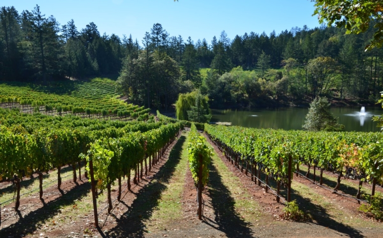 most picturesque wineries in napa